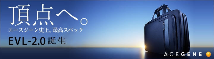 �G�[�X�W�[��/ACEGENE EVL-2.0 �f�r���[�I