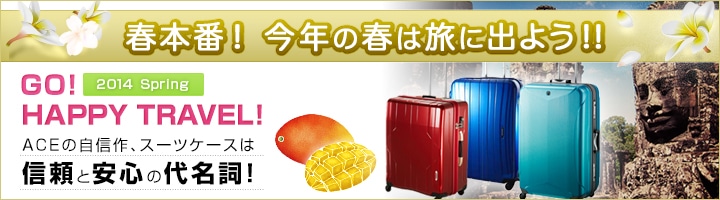 �H�~���s �X�[�c�P�[�X���W