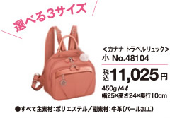 �J�i�i�@�g���x�������b�N���@�ō�11,025�~