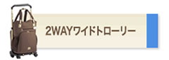 2way���C�h�g���[���[