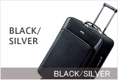 BLACK�^SILVER