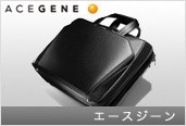 �G�[�X�W�[��