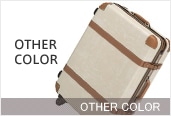OTHER COLOR