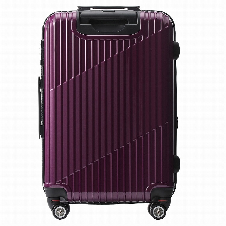 【WEB限定】 ACE クレスタ スーツケース 5～7泊 64~70Ｌ エキスパンド機能 06317