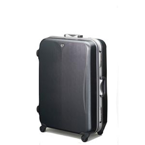 大人気✨エース プロテカ エキノックス スーツケース キャリー