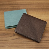 ��+Style �v���X�X�^�C����R�C���P�[�X 13421 (08�F�u���E��×�X�J�C)