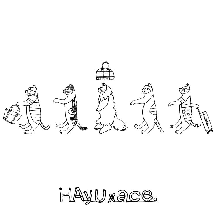 HAyUｘace. 行進ネコ