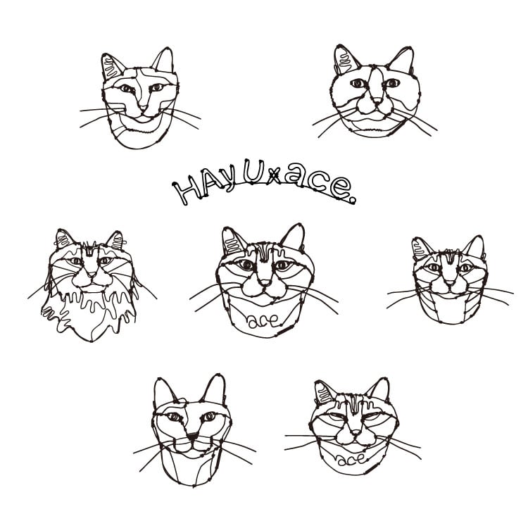 HAyUｘace. ネコヘッドたち