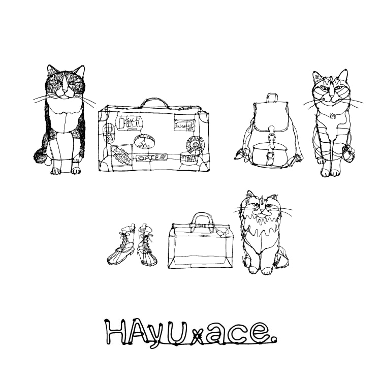 HAyUｘace. ネコヘッドたち