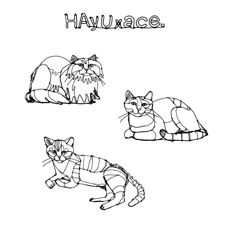 HAyUｘace.　全身ネコ