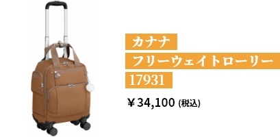 カナナフリーウェイトローリー 17931