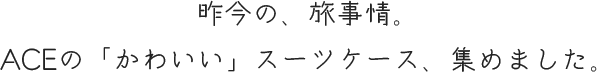 2026年の、旅事情。 ACEの「かわいい」スーツケース、集めました。