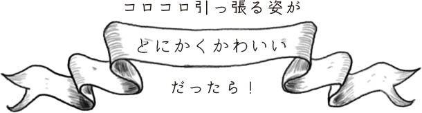 コロコロ引っ張る姿が「とにかくかわいい」だったら！