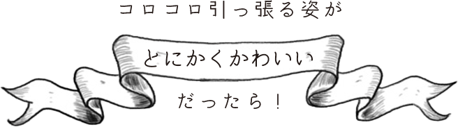 コロコロ引っ張る姿が「とにかくかわいい」だったら！