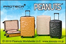 プロテカ ココナにオリジナルピーナッツコラボモデル登場！