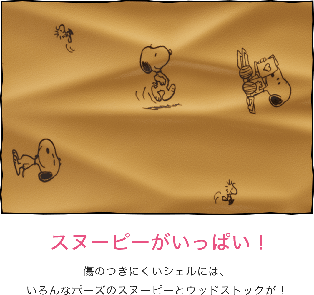 ココナ ピーナッツエディション Proteca プロテカ エース公式通販 ココナ ピーナッツエディション Proteca プロテカ エース公式通販