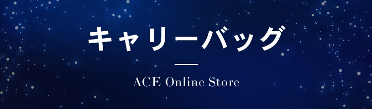 キャリーバッグ