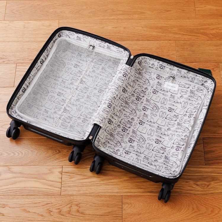 ace.／エース  HAyU パキラ スーツケース 機内持ち込み 34L 05781