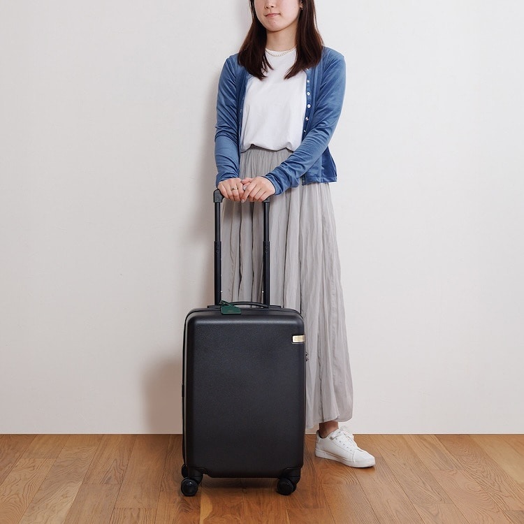 ace.／エース  HAyU パキラ スーツケース 機内持ち込み 34L 05781