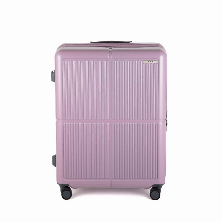 【WEB限定】ACE ファームロード 89/106L スーツケース エキスパンド機能 05893