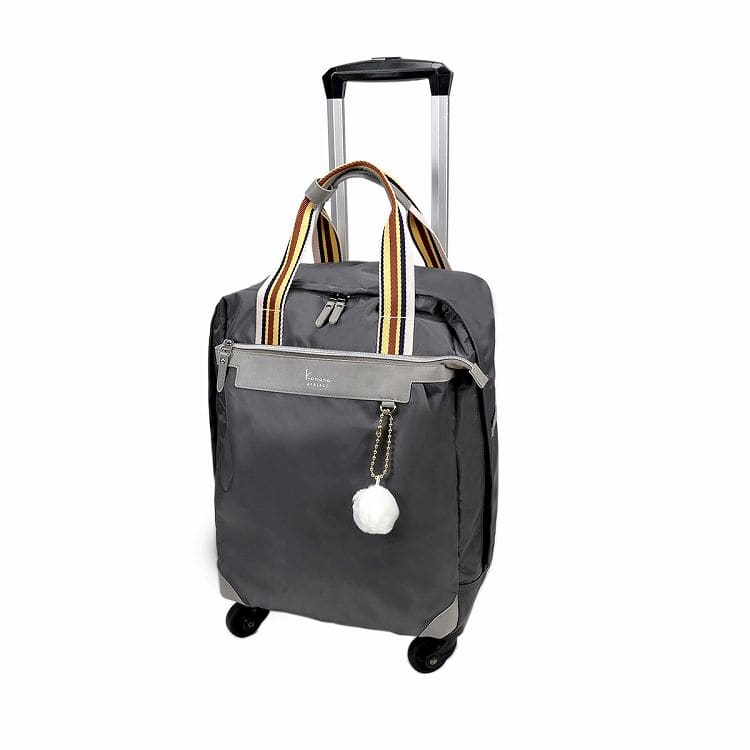 Kanana project／カナナプロジェクト VYG アムローズTR キャリーバッグ 22L  15246