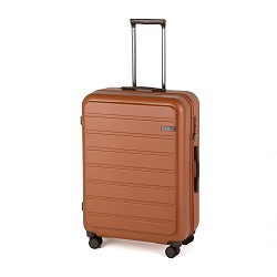 【WEB限定】ACE フレットボード 68L スーツケース ストッパー機能 5～7泊 05433
