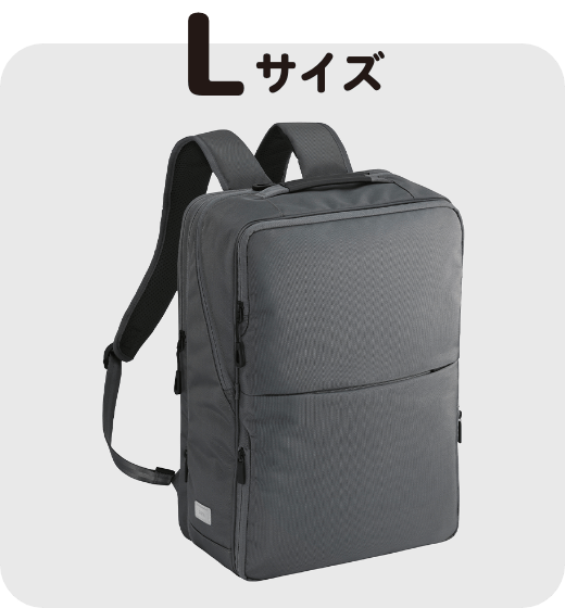 アイテム画像サイズL