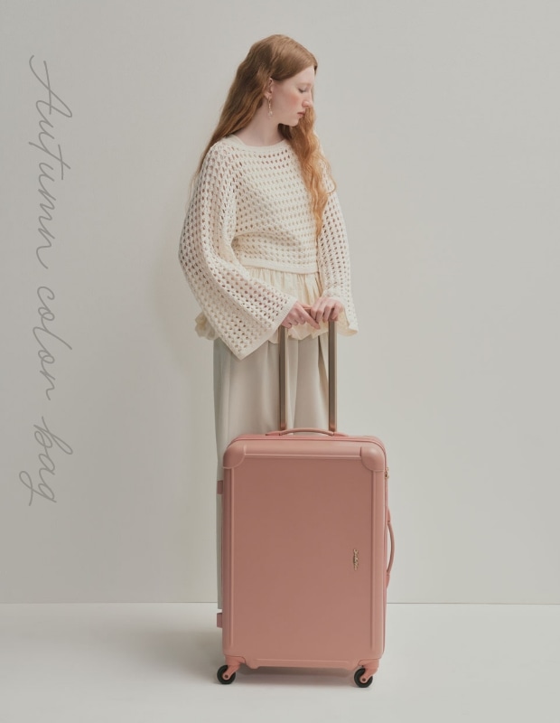 Foggy Jewel Suitcase フォギージュエル スーツケース