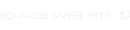 ACE WEB SITE
